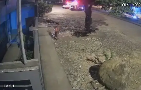 Idoso é atropelado por moto ao atravessar rodovia em Nova Venécia; veja vídeo